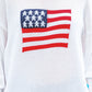 PREORDER- USA Flag Sweater
