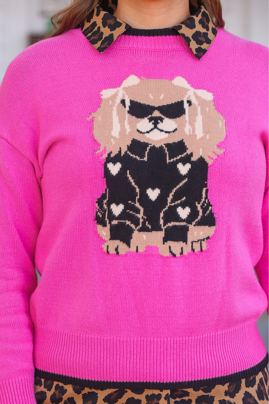 PREORDER- Dixie the Dog Sweater