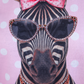 PREORDER- Pretty Wild Pullover- Sassy Stripes