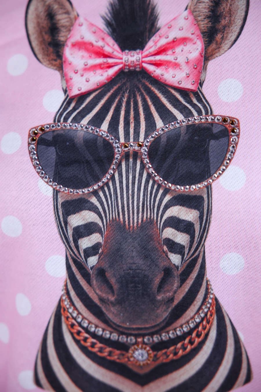 PREORDER- Pretty Wild Pullover- Sassy Stripes