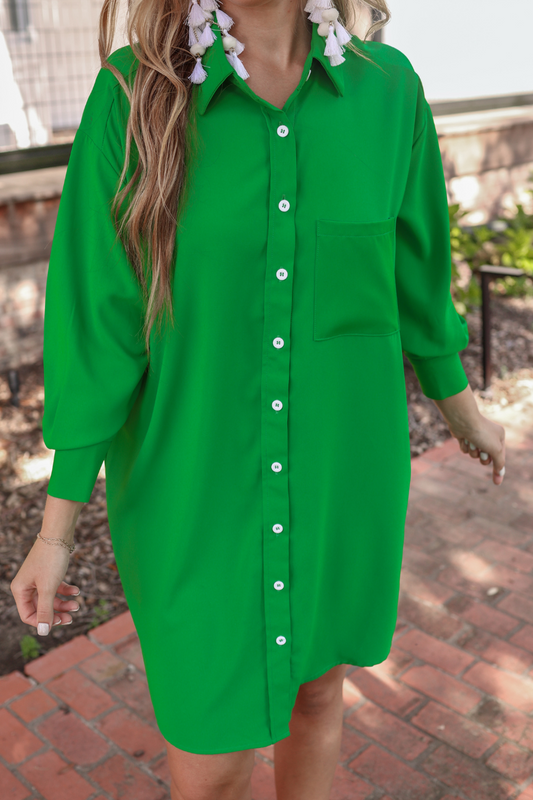 Tristan Button Up Dress