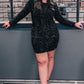 Crowd Pleaser Sequin Dress